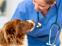 ����� � ������: �� ��������� �������� �� �������� ���������?