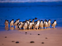 ������ �7 �������� �� ������� ���������