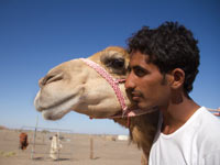 � ������ �7 �������� ��������� �����