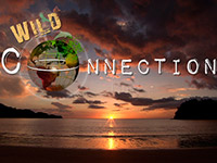 ��������� ���������� �� ���������� �������������� �� ����� ���������� ������ �������