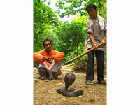 ��������� HD Life ������� �������� � ������� ������� �������� �����������