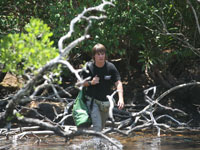 ������� ������� ������������ ������ ������� ��������