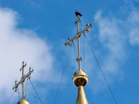 ������������ ��������� ���� ������ �����������-��������������