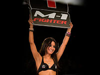 ������� ���������� ������� ���� ����� ��������� ������ �������-��� M-1 Fighter