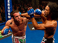 �� ���������� ���� �������� ���� ������� �������� �������