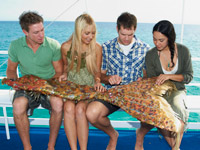 �� ������ ��� TV ���������� ����������� � ����������� ���������