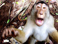 �������� ������� ������ �7