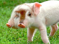 ������ �7 ��������� �� ������������� ����� ������ � �������� ��������� ������ ������