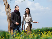 �� ������ 1+1 �������� ����� �������� ������ ���