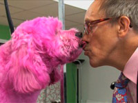 ������ �7 ���������� � ������������ ����� ���� ������