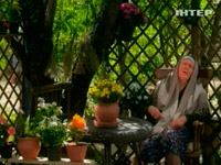 �� ���������� ����� �������� ����� 12-�������� �������������� ����� �����