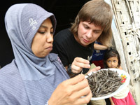 ������� ��������� �� ������ 1+1 ������� ������� ������� � ������ � ��������-������