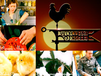 ����������� �������� ���������� ���������� ����� ����� ������� ���� ��������