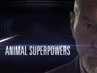 ������ �7 ��������� � ����������������� � ���� ��������