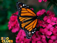 �������� ������ �7 ��������� ������ ����� ������� ��������