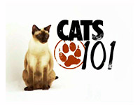 ������ �7 ���������� �������� �� 101 ������� �����