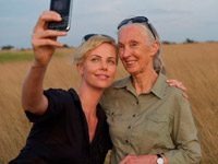 ��������� STV �������� ���������������� ����������� ������� �������������