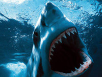 ������ �7 ��������� �� ������������� ����� ������ ��������-�����������