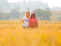 � ���������� ��������� ��������� �������! ������� �������� ������ �������� �� 2014 ���