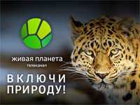 ��������� ����� ������� ������ �������� �������� ������