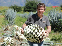 ���������� �������� �������� ������ 1+1 ������� �������� ������������ ������