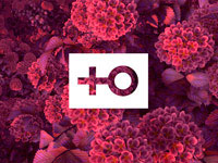 ��������� � ������ ����������