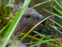 ������ �7 ��������� �� ��-����� ������ � �������� ��������� ������ ������ ����� ������