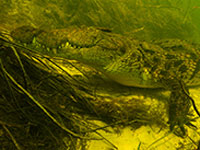 ������ �7 ��������� �� ��-����� ������ � �������� ��������� ������ ��������� ��� ��������