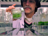 ��������� ��� �� ������� �������������� ����� ��� ��������