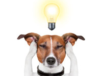 ������ �7 ��������� � ������������ ����� ������