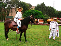 ������� ������-��� ���� � ����� �� ������ ����� ���������� � ����