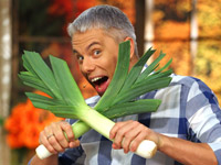 � ��������� ������� ������ �� ������ ���������� ������� ���� �� ����