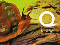 ���������� ��������������� ��������� Slow � Noise ���� ������� ������� � ����