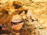 ������ �7 ��������� �� ��-����� ������ � �������� ��������� ������ ����������� ����