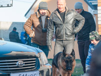 �� ������ ��� �������� ����������� ������ ϸ�