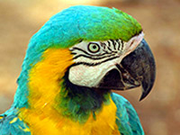 ������ �7 ��������� �� ��-����� ������ � �������� ��������� ����� ���������� �������� 