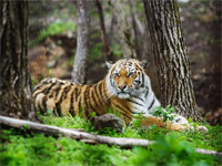 ��������� ����� ������� ��������� �� ������������� ������� �� ������ �������� ��� ����� �������