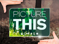 Sony Pictures Television �������� � ������ �������� Picture This Festival � ������