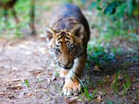 ������ �7 ��������� �� ��-����� ������ � �������� ��������� ������ ����������� �����