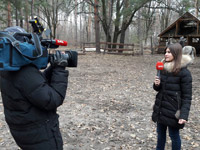 ������� ��� ������� ������-����� ��� �����-������������