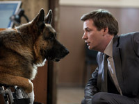 �� ������ ICTV �������� ����� ����� ����������� ������������ ������� ���