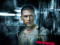 ���� ���������� ����������� ������� ����� ����� ������������� ������� �����