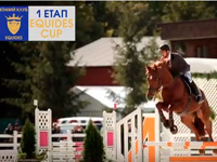 �� MostVideo.TV ��������� ������ ���������� ������������ �� ������� � ��������