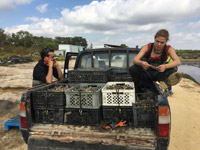 � ����� ������� ������� ������ ������ ���������, ��� ���������� �������� � ����������