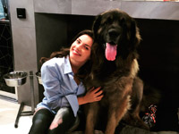 ����� ������� ������� �������� ������ ��� ������