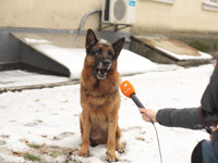 �� ����� ������ ���������� ����� ��������� ��� � ����� ����� ������ ����