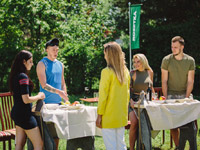 �� ����� ������ �������� ������ ����� ������� � ������ ���������� ����