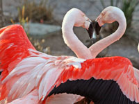 ������ �7 ������� ���������� ��������