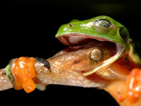 ������ �7 ������� ����� ��������� �������� � ����� ������� 