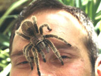 � ������ �7 �������� ��������� ���������